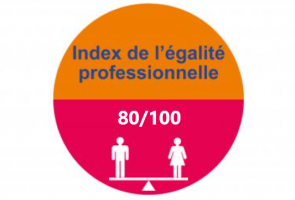 Index égalité femmes / hommes 2025​