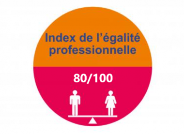 Index égalité femmes / hommes 2025​