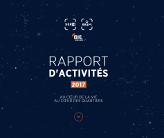 Rapport d'activités